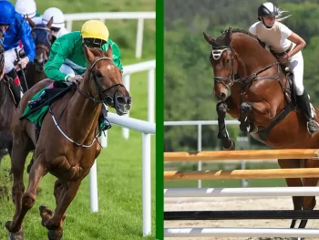 horse jumping, horse racing, chasing, mouthguard
