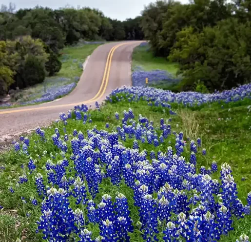 youth-sports-mouthguard-about-us youth sports mouthguard made in texas